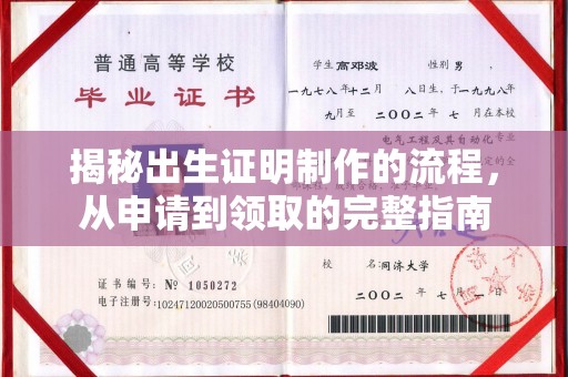 麻章揭秘出生证明制作的流程，从申请到领取的完整指南