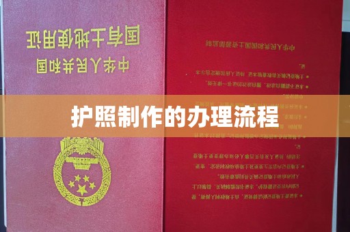麻章护照制作的办理流程