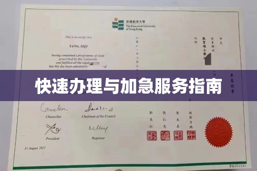 麻章快速办理与加急服务指南