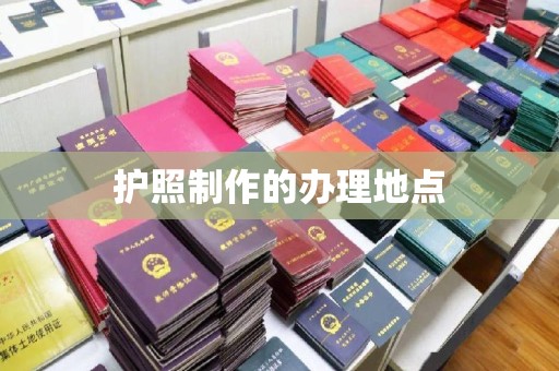 麻章护照制作的办理地点
