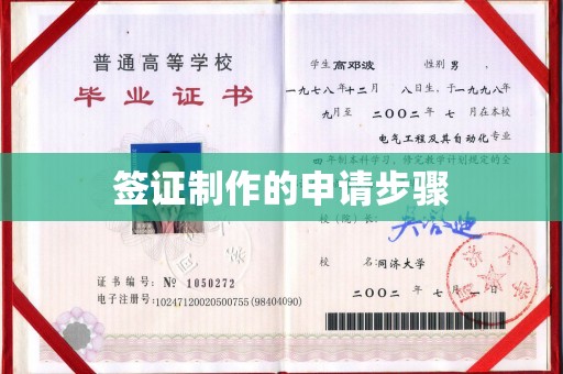 麻章签证制作的申请步骤