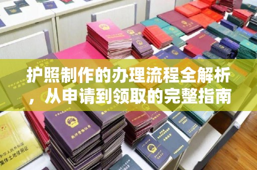 麻章护照制作的办理流程全解析，从申请到领取的完整指南