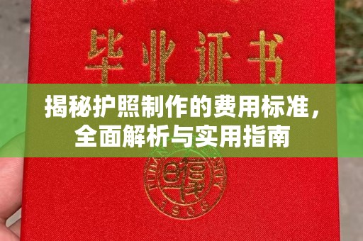 麻章揭秘护照制作的费用标准，全面解析与实用指南