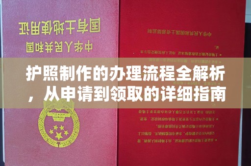 麻章护照制作的办理流程全解析，从申请到领取的详细指南