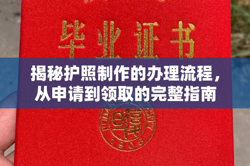 麻章揭秘护照制作的办理流程，从申请到领取的完整指南
