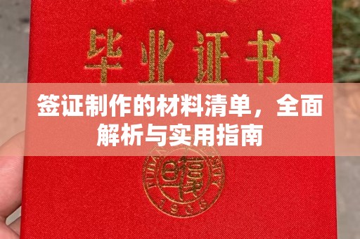 麻章签证制作的材料清单，全面解析与实用指南