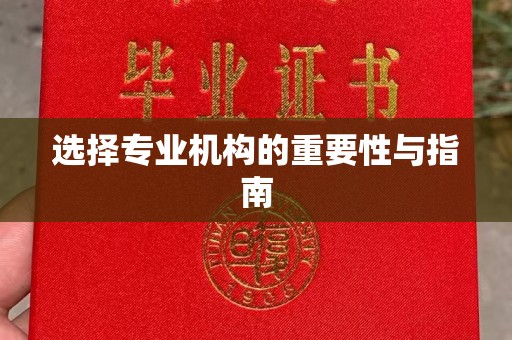 麻章选择专业机构的重要性与指南
