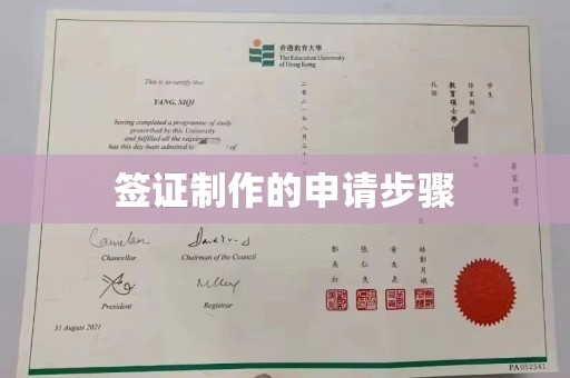 麻章签证制作的申请步骤