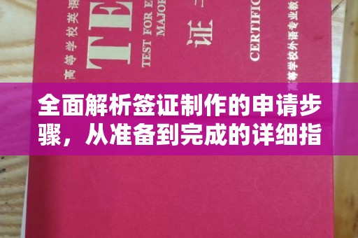 麻章全面解析签证制作的申请步骤，从准备到完成的详细指南