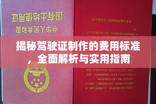 麻章揭秘驾驶证制作的费用标准，全面解析与实用指南