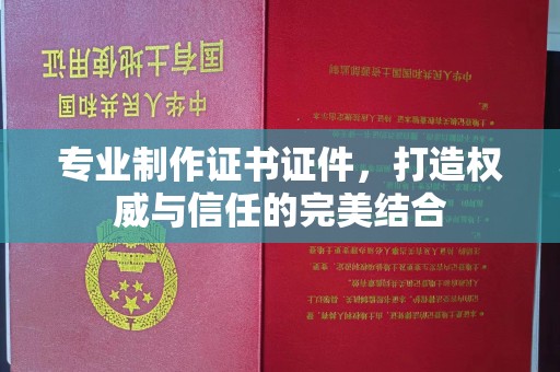麻章专业制作证书证件，打造权威与信任的完美结合